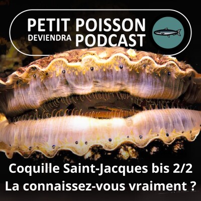 S03E25 Le retour de la Coquille Saint-Jacques 2/2 : La connaissiez-vous vraiment ? cover