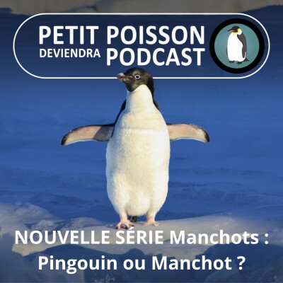 S05E10 NOUVELLE SÉRIE Manchots : Pingouin ou Manchot, quelle différence ? (Mathilde Chevallay) cover