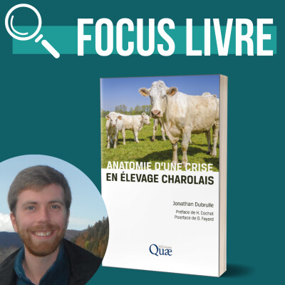 INTERVIEW - Anatomie d'une crise en élevage charolais | Jonathan Dubrulle cover