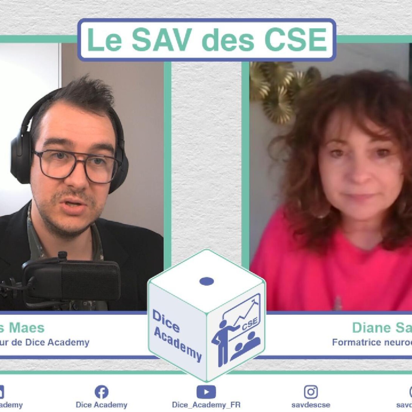 14 - Le SAV des CSE et si la différence devenait une force pour nos entreprises Avec Diane Sacleux episode artwork