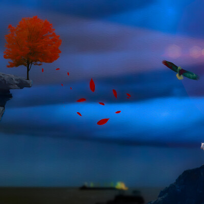 Lumière sur les feuilles mortes… 31-10-23 cover