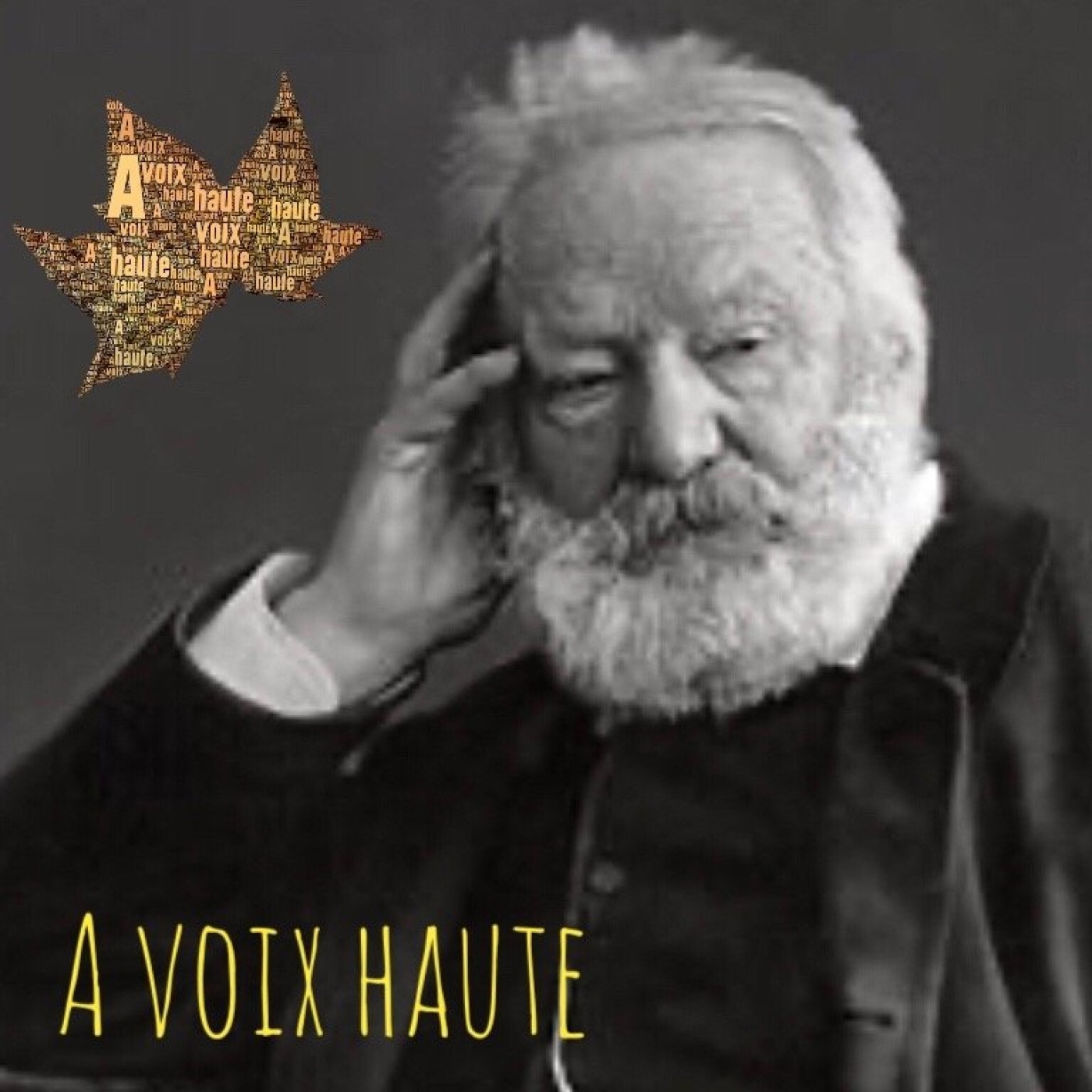Victor Hugo - Booz Endormi - Yannick Debain.