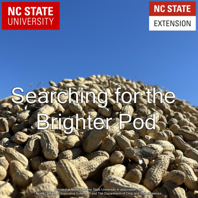 Searching For the Brighter Pod - The Begining. cover