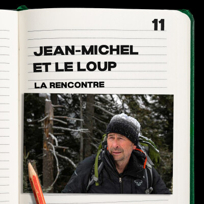 #11. Jean-Michel Bertrand et le Loup 1 - la rencontre cover