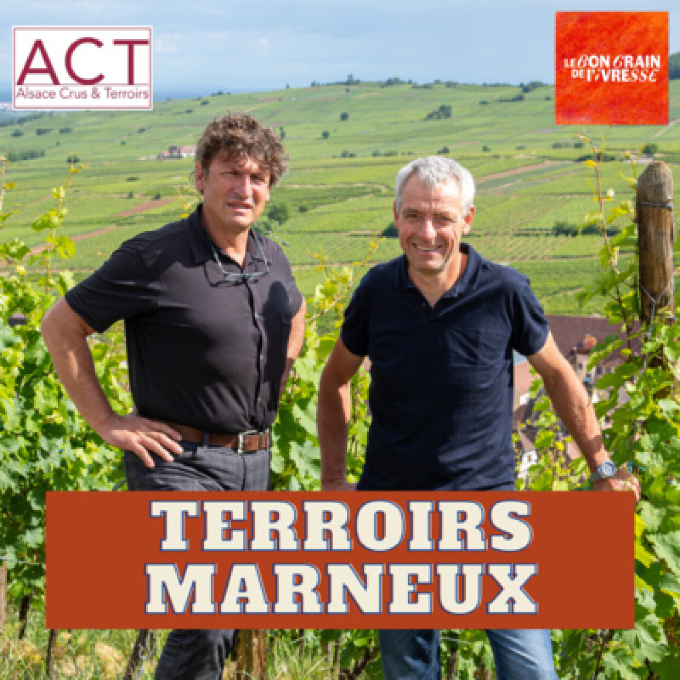 Hors-série Alsace 5/5 - Terroirs de marnes