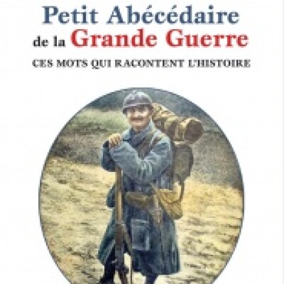 Qu’appelle-t-on le bon usage du français ?  cover