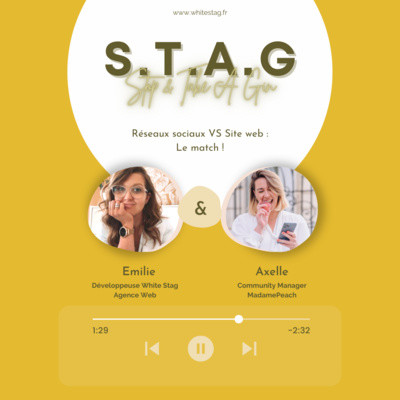 17 - Réseaux sociaux VS Site web : Le match ! - Avec Axelle alias Madamepeach cover