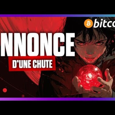 🔮🩸Se préparer à une CHUTE ou à un BLACKSWAN ? cover