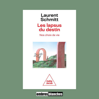 Laurent Schmitt → Les lapsus du destin cover