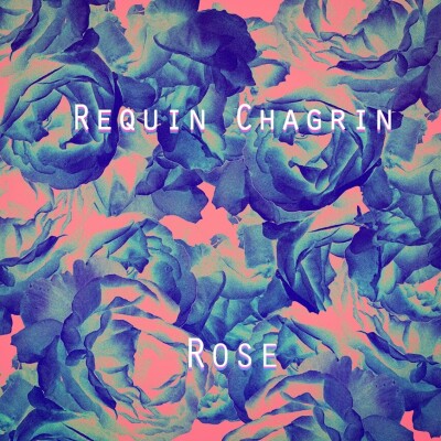 La Souterraine #11 : Requin Chagrin cover