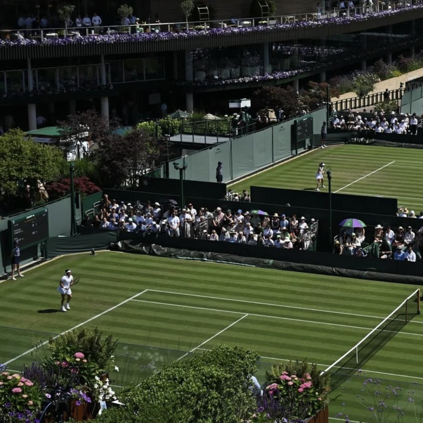 Wimbledon 2025: on plante le décor en compagnie de Laurence Courtois
