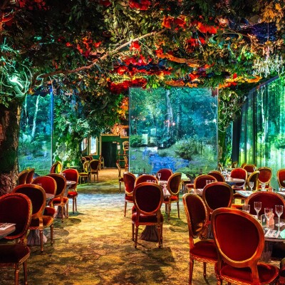 Une forêt enchantée aux couleurs de l’équipe de France cover