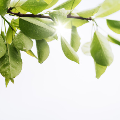 La magie du minimalisme, vie pro et perso avec Clémence Laborde cover