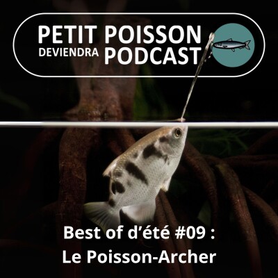 BEST OF D'ÉTÉ #09 :  Le Poisson archer, le meilleur expert en balistique du monde animal (connu) ! cover