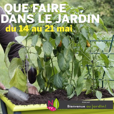 QUE FAIRE DANS LE JARDIN DU 14 AU 21 MAI ? cover