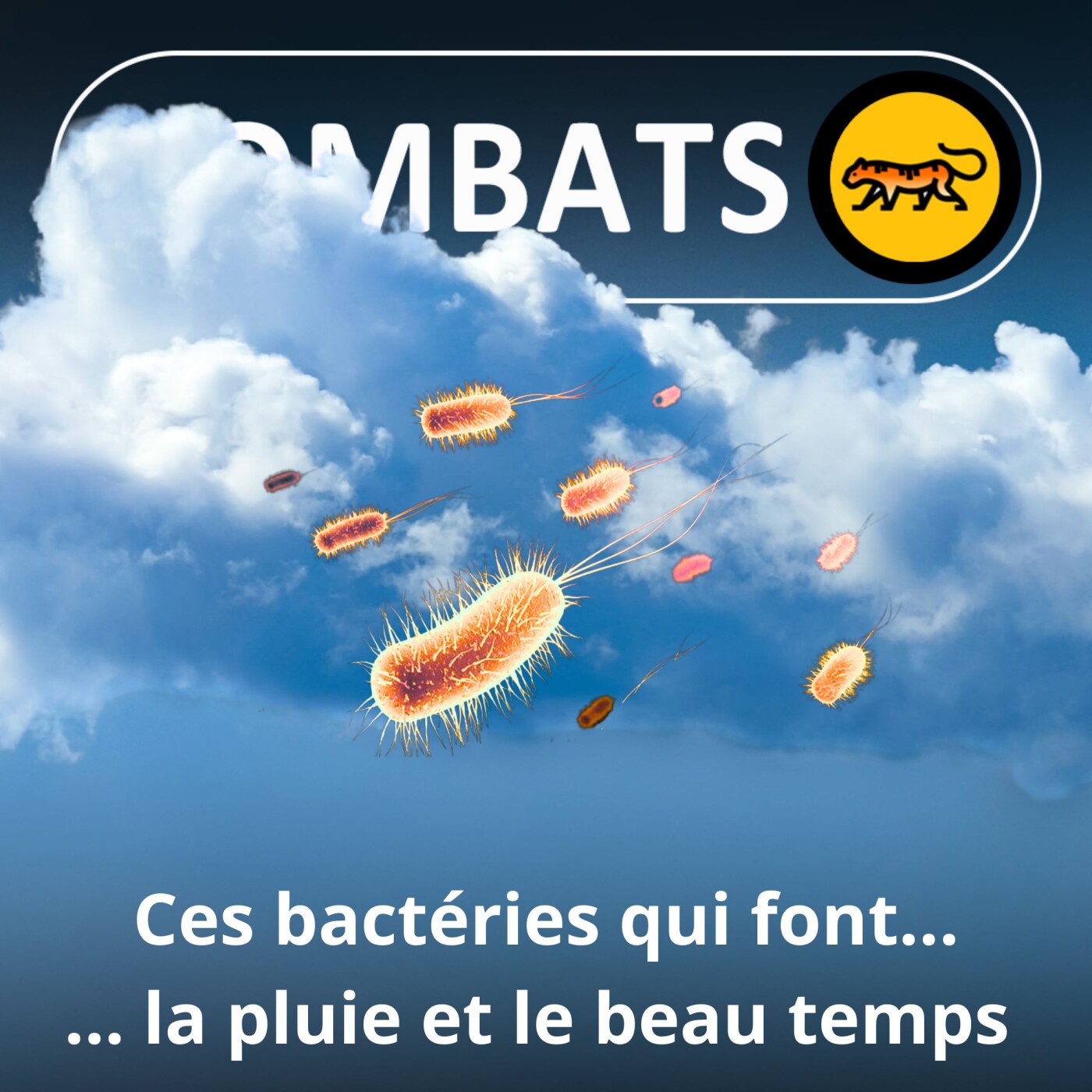 REGARDS 1/4 Ces bactéries qui font pleuvoir (Emma Haziza)