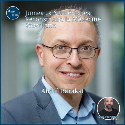 #7 Jumeaux Numériques: Reconstruire la Médecine Vasculaire avec Abdoul Barakat cover