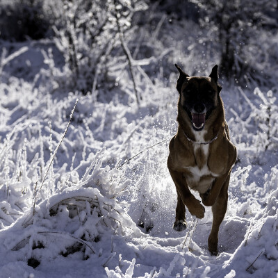 016 - Qui me parle? cover