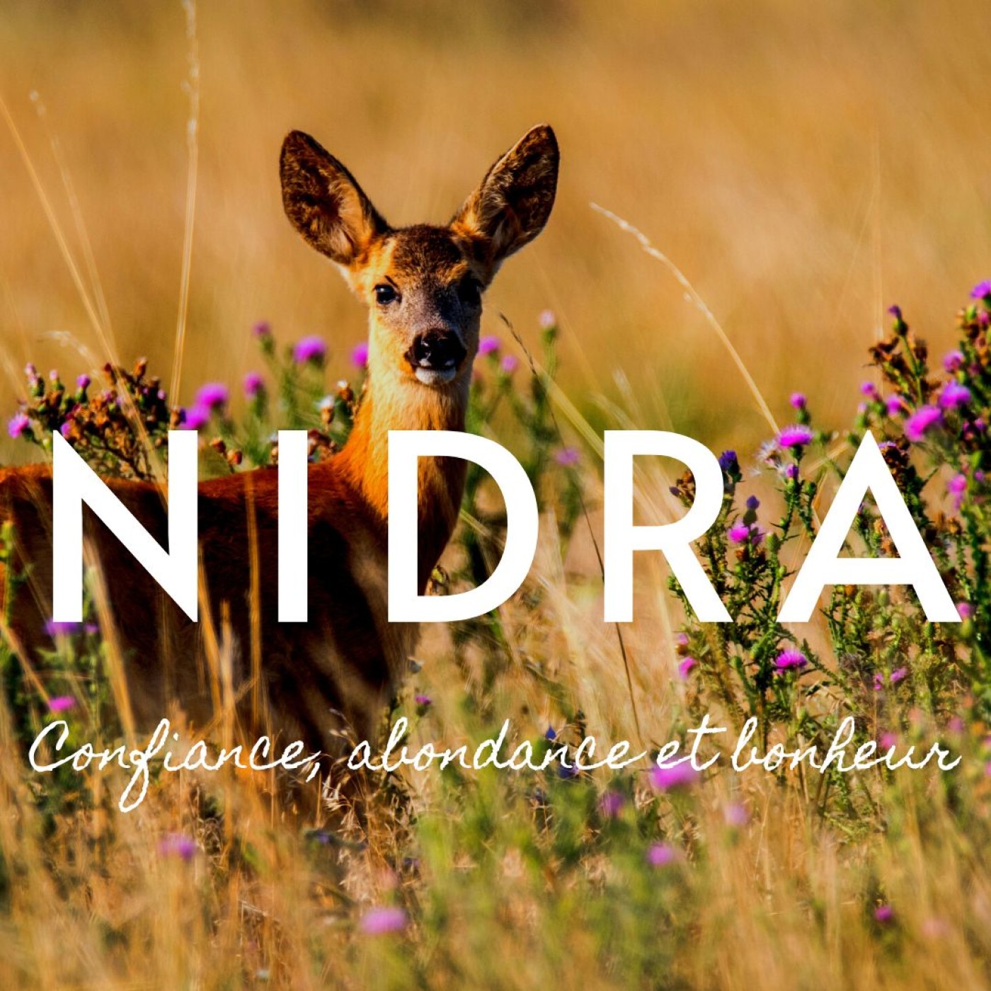 50MIN | YOGA DES RÊVES | YOGA NIDRA AUDIO | CONFIANCE ABONDANCE BONHEUR