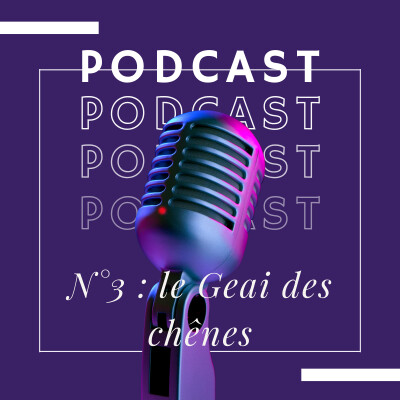 Le Geai des chênes : L'ingénieur forestier qui a plus de mémoire que vous cover