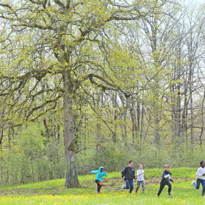 Ambiance randonneurs et coureurs cover