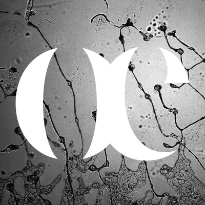 Episode 28 - The Topography of tears – Rose Lynn Fisher cover