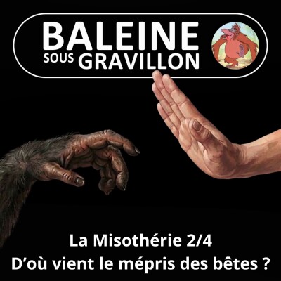 S08E06 La Misothérie 2/4 : De la vénération au mépris des "bêtes" cover