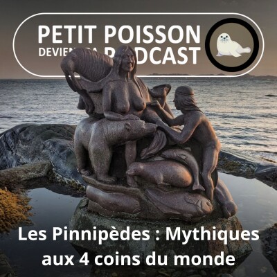 S05E37 Les Pinnipèdes : De l'Alaska à la Grèce, des animaux mythiques aux 4 coins du monde cover