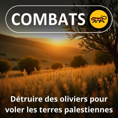 S05E27 Des colons israéliens brûlent et arrachent les oliviers des Palestiniens cover