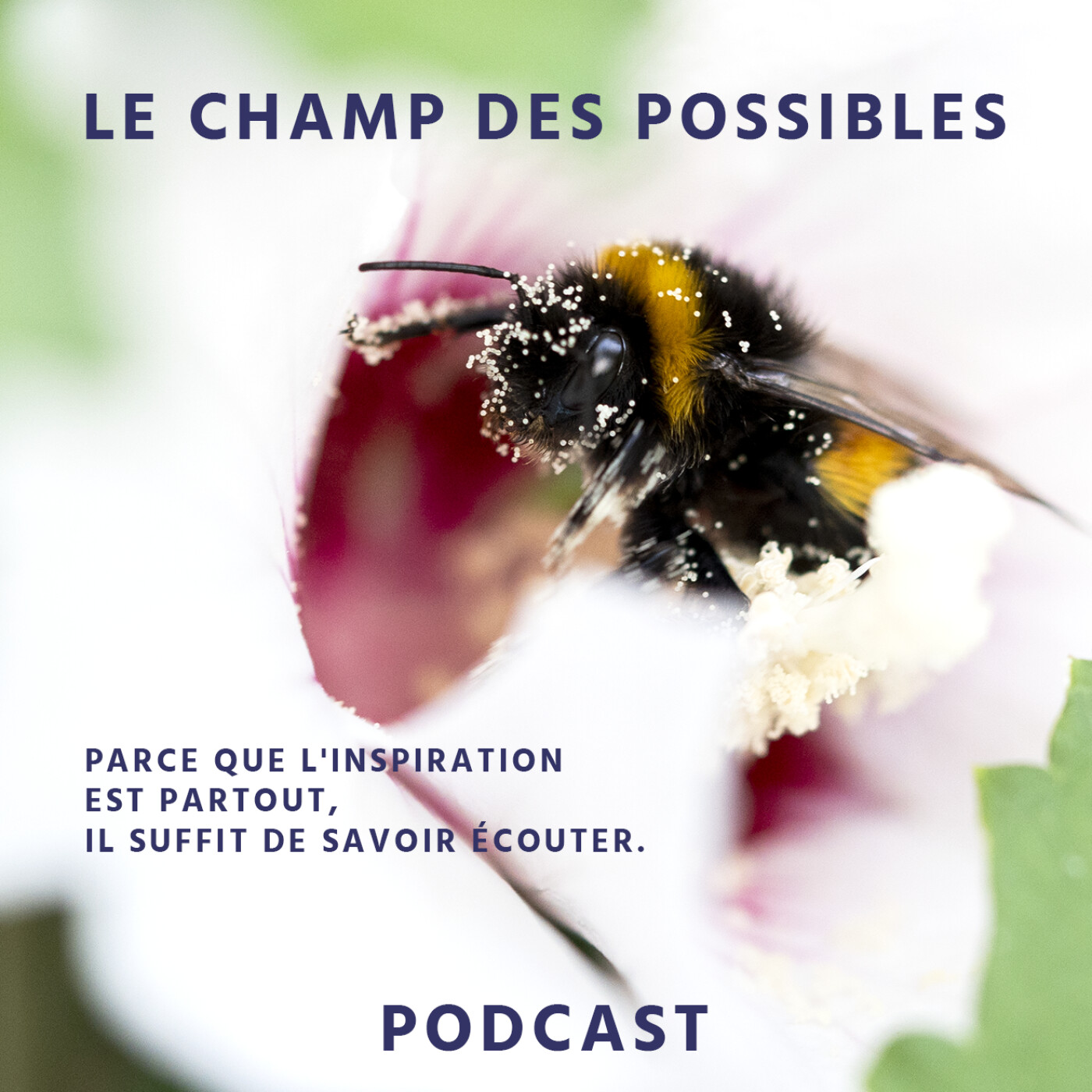 Le champ des possibles podcast artwork