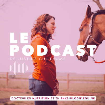 4 conseils pour faire prendre de l’état à son cheval ! cover