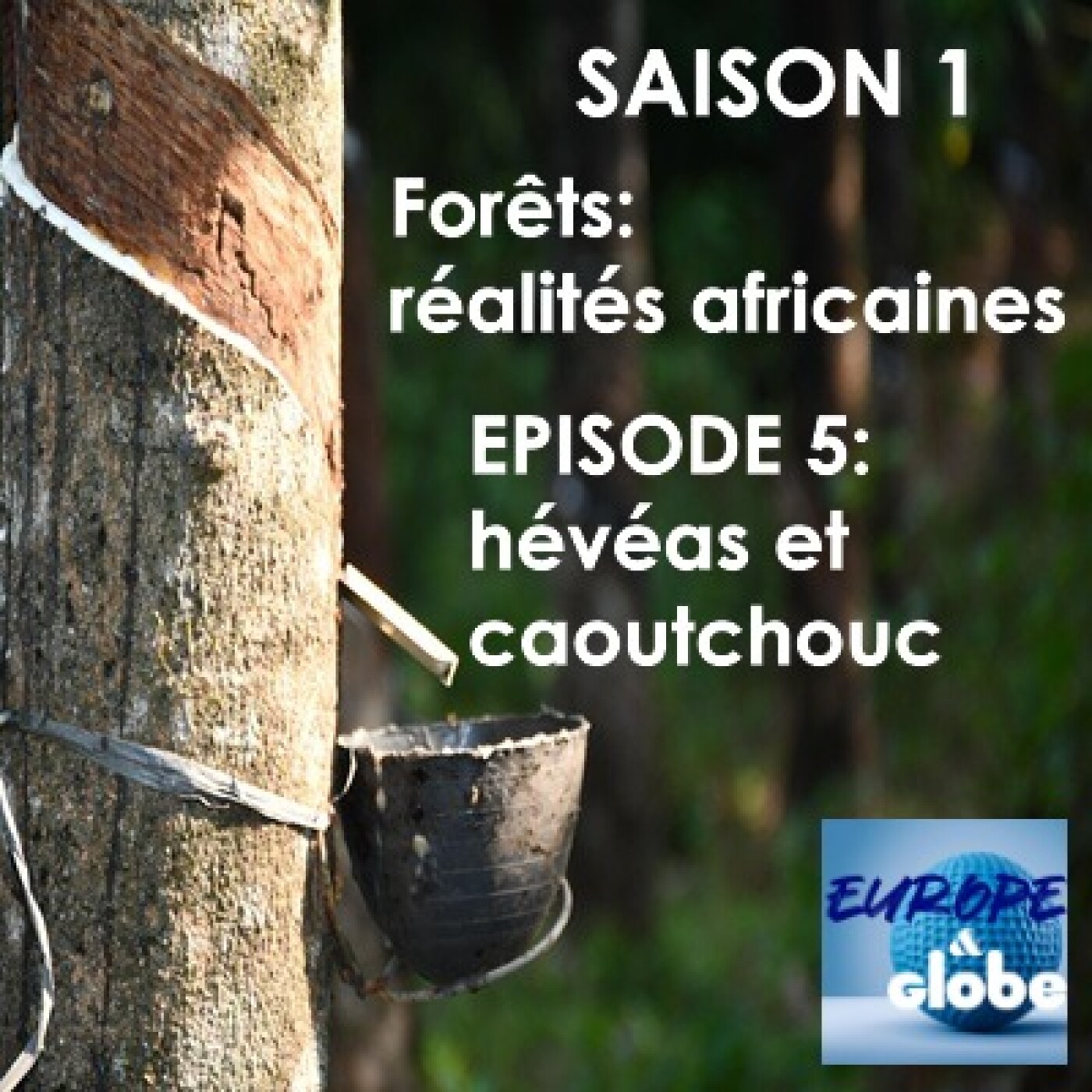 Europe and Globe, The podcast that explores today\'s world and changes the way we look at tomorrow\'s challenges