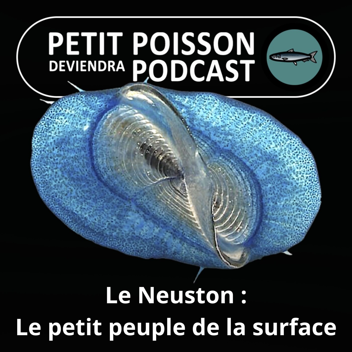 Petit Poisson deviendra Podcast