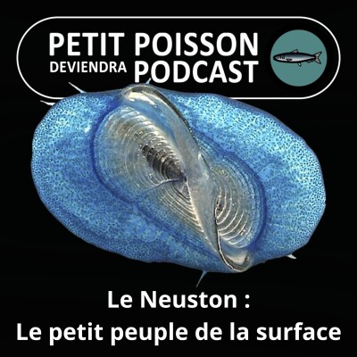 Show cover