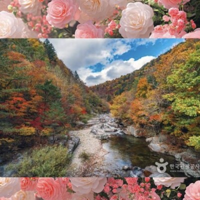 Odaesan cover