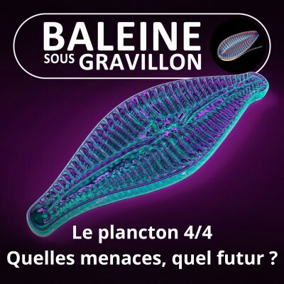 S02E06 Le Plancton, "petit peuple de l'eau" 4/4 : Quelles menaces, quel futur ? cover