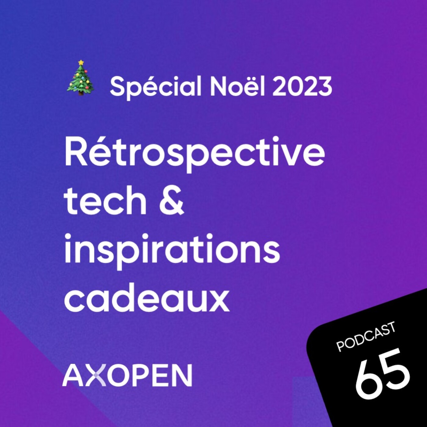 Spécial Noël 2023 : bilan de l’année et inspirations cadeaux