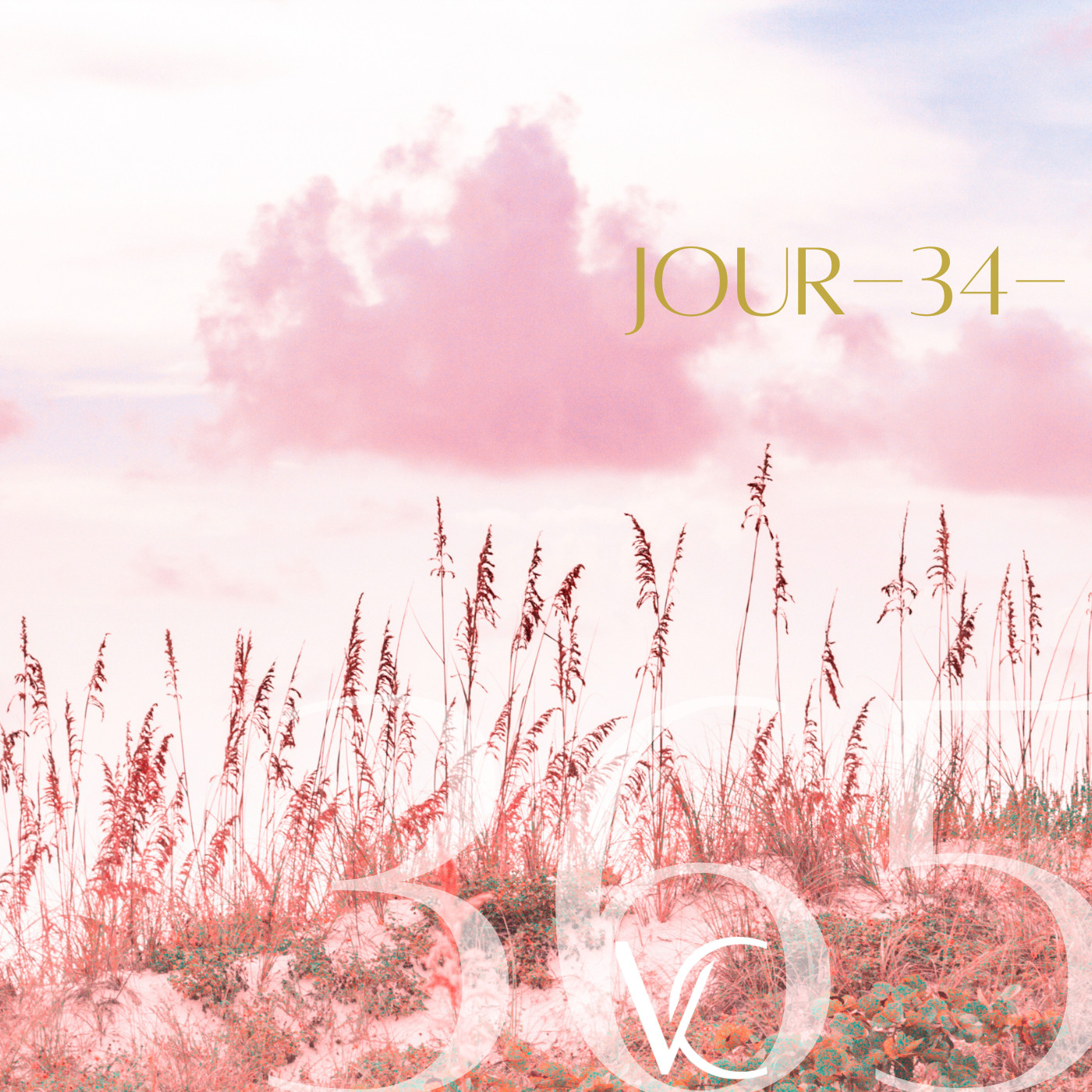 LIVE 365 by Valérie Carchi