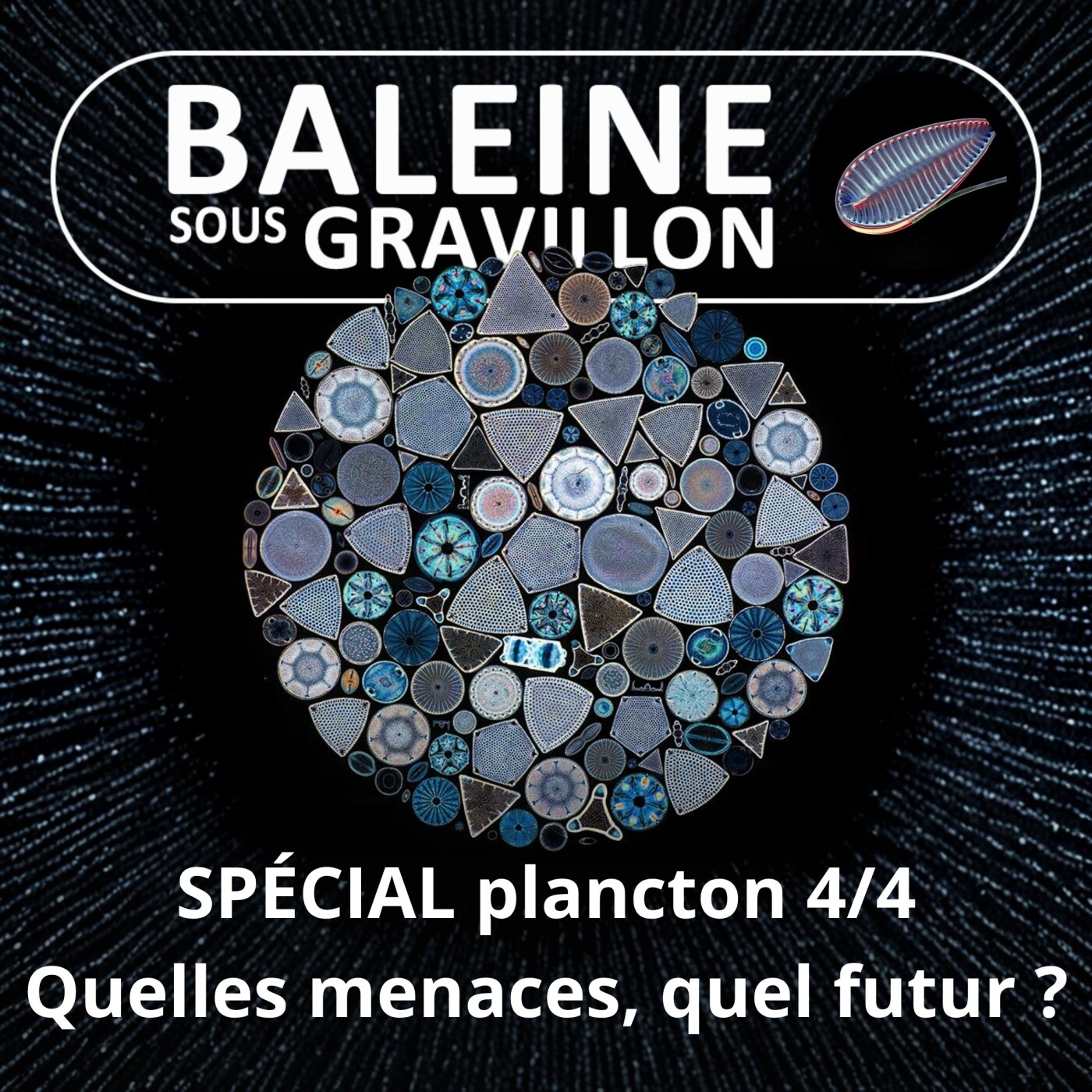 SPÉCIAL PLANCTON 4/4 : Quelles menaces, quel futur ? (Pierre Mollo)