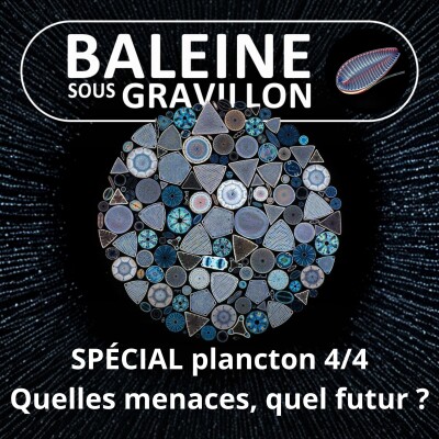 SPÉCIAL PLANCTON 4/4 : Quelles menaces, quel futur ? (Pierre Mollo) cover