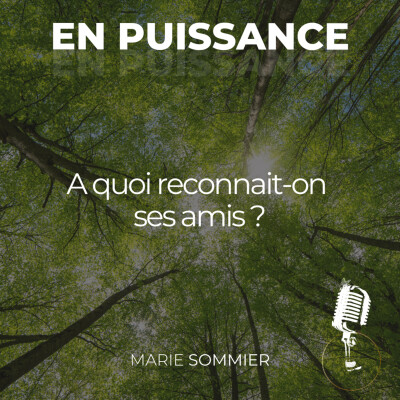 A quoi reconnait-on ses amis ? cover