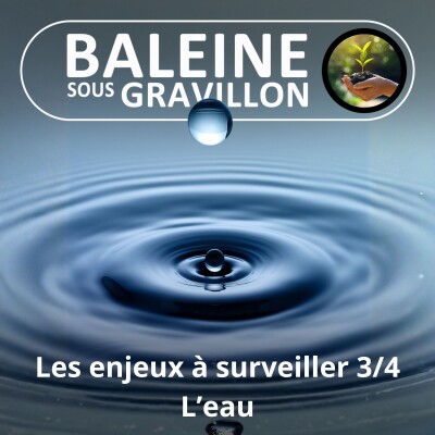 S03E98 Les grands enjeux à surveiller 3/4 : L'eau, un or bleu si convoité cover