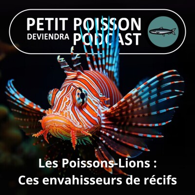 BEST OF D'ÉTÉ #16 : Rascasses volantes, aka Poissons-Lions (Scorpénidés 1/2), des beautés aussi envahissantes que fatales ... cover