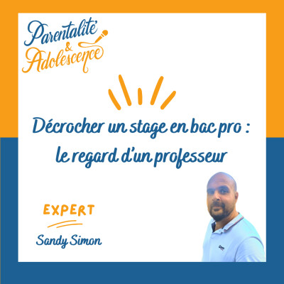 230. Décrocher un stage en bac pro : le regard d’un professeur cover