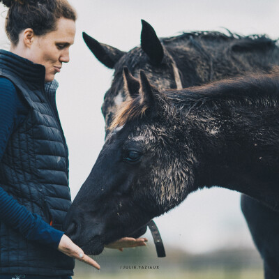 🐎 Dressage • La connexion avant tout cover