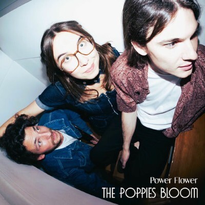 UN JOUR UN DISQUE #735 THE POPPIES BLOOM cover