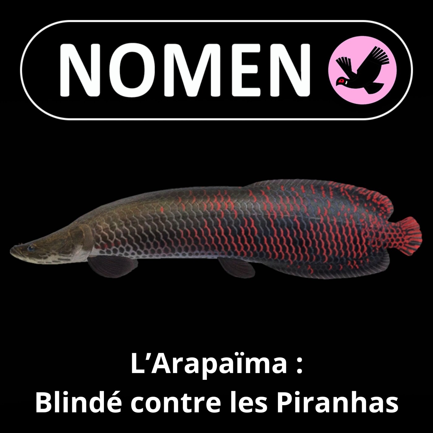 Nomen