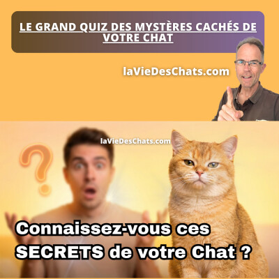 5 MYSTÈRES CACHÉS DE VOTRE CHAT (le quiz qui RÉVÈLE tout) cover