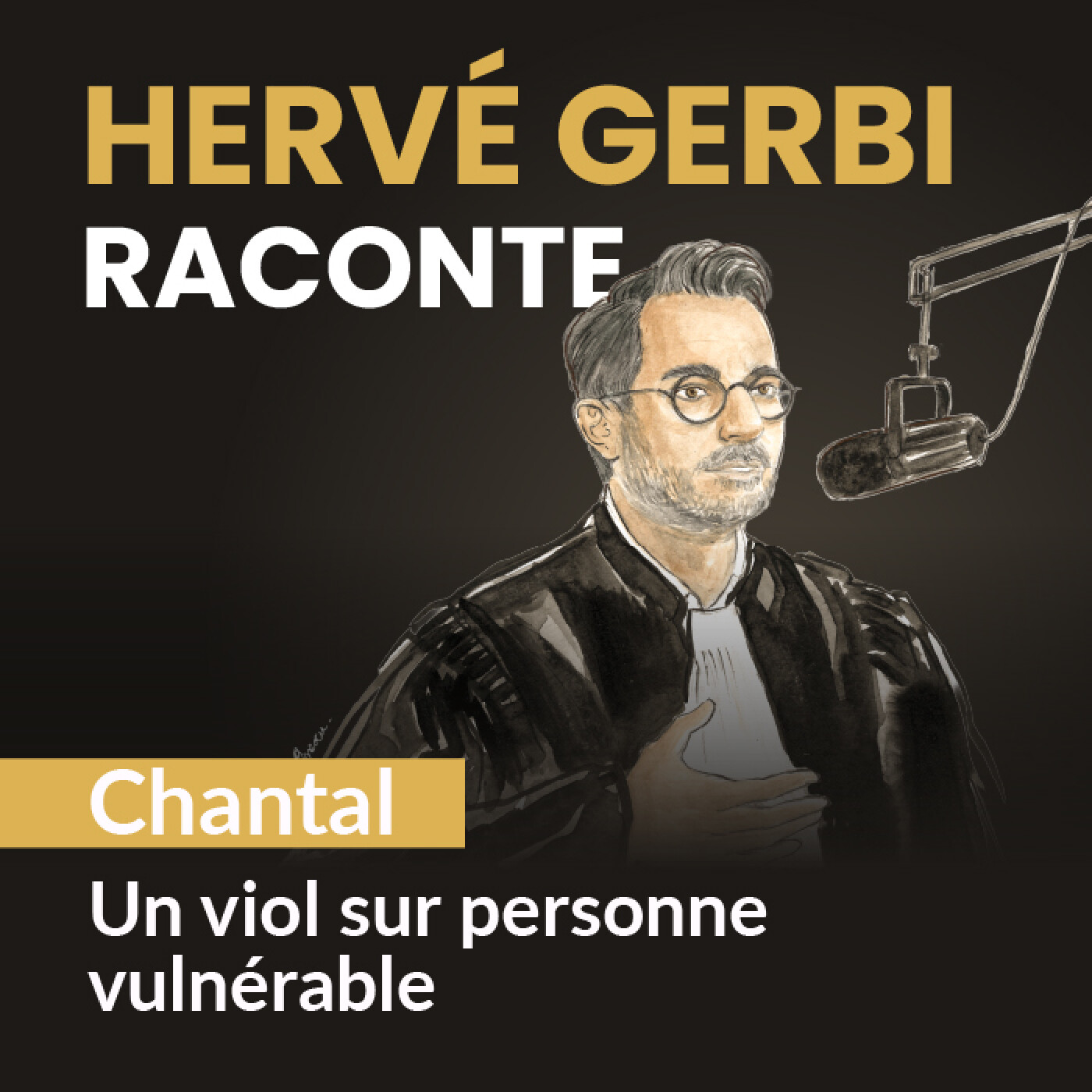 Hervé Gerbi Raconte - Histoires vraies d\'un avocat des victimes
