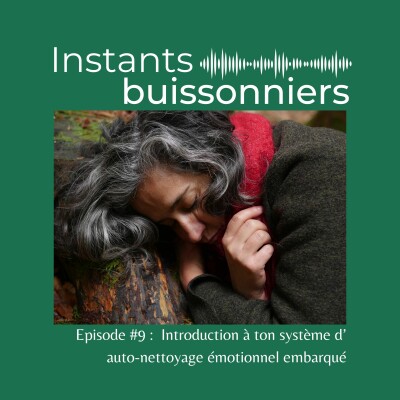 Episode 9 : Introduction à ton système d'auto-nettoyage émotionnel cover
